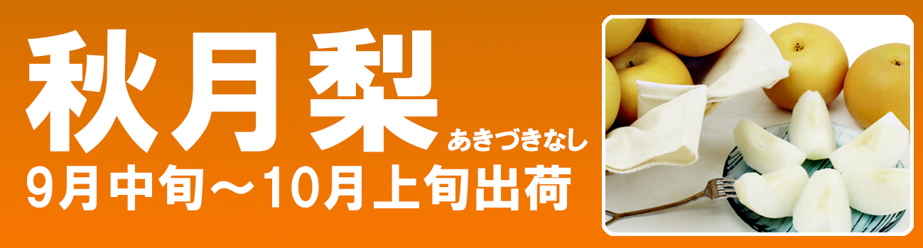 愛媛だいすけ果樹園　秋月梨（あきづきなし）