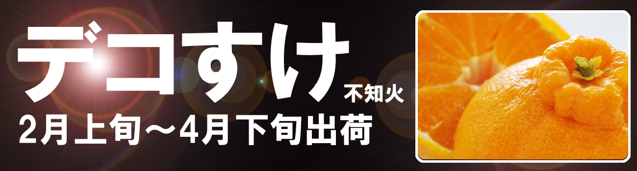愛媛だいすけ果樹園　デコすけ（不知火）