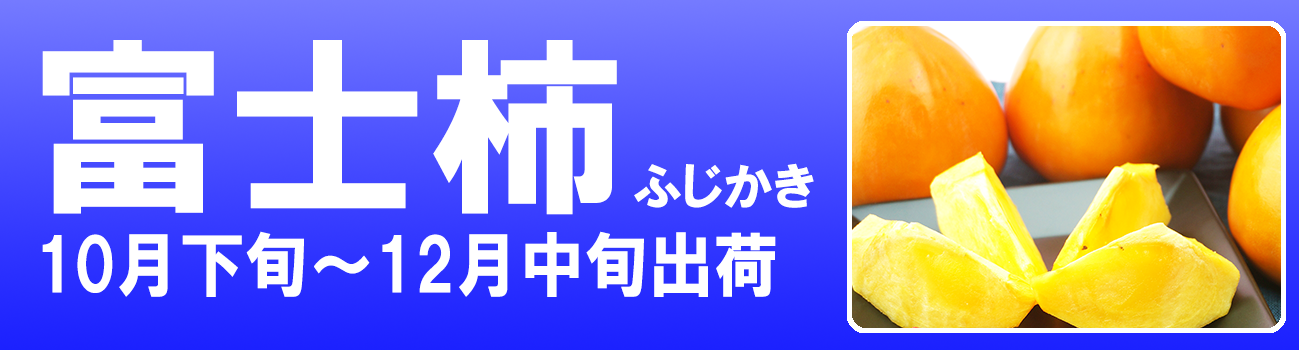 愛媛だいすけ果樹園　愛媛県産　富士柿