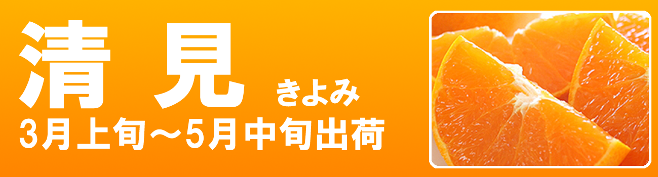 愛媛だいすけ果樹園　清見（きよみ）
