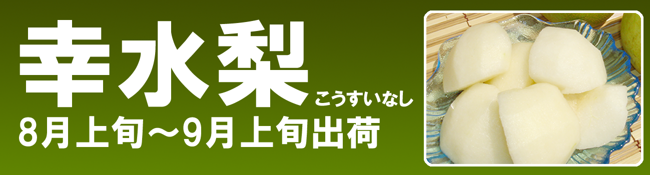 愛媛だいすけ果樹園　幸水梨（こうすいなし）