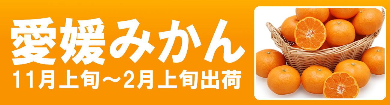 愛媛だいすけ果樹園　愛媛県産　愛媛みかん