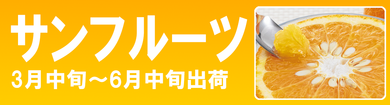 愛媛だいすけ果樹園　サンフルーツ