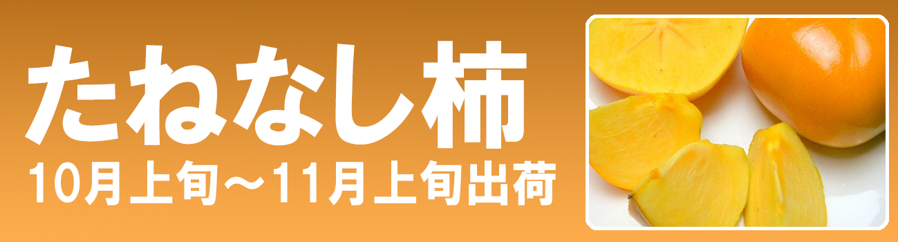 愛媛だいすけ果樹園　愛媛県産　たねなし柿