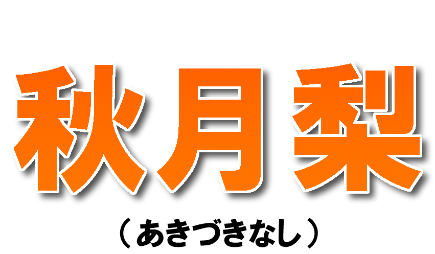 愛媛県産 秋月梨（あきづきなし）