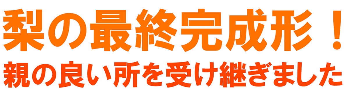 愛媛県産 秋月梨（あきづきなし）