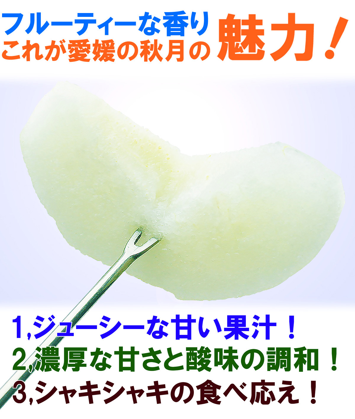 愛媛県産 秋月梨（あきづきなし）