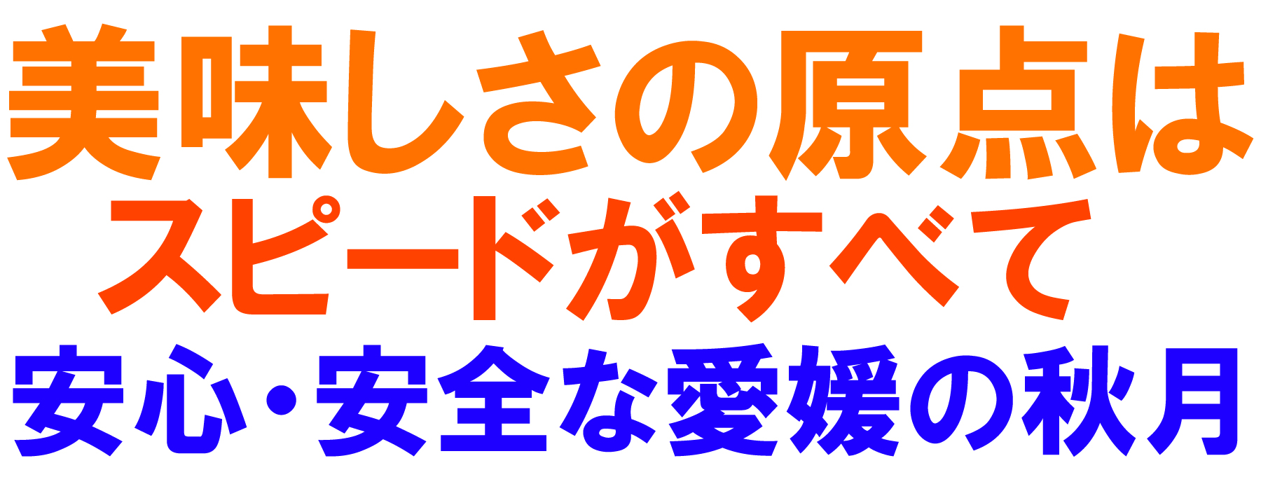 愛媛県産 秋月梨（あきづきなし）