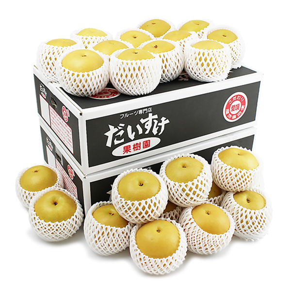 秋月梨（あきづきなし）ギフト用5ｋｇ