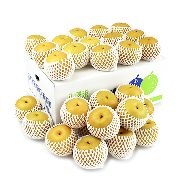 秋月梨（あきづきなし）お得用10ｋｇ