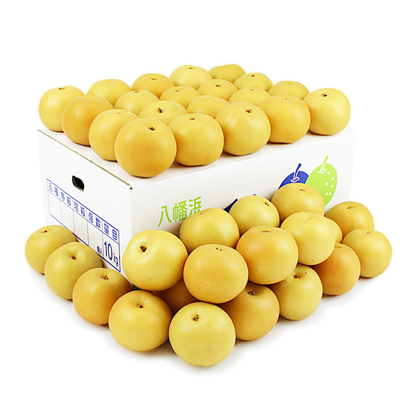 秋月梨（あきづきなし）こつぶ君10ｋｇ