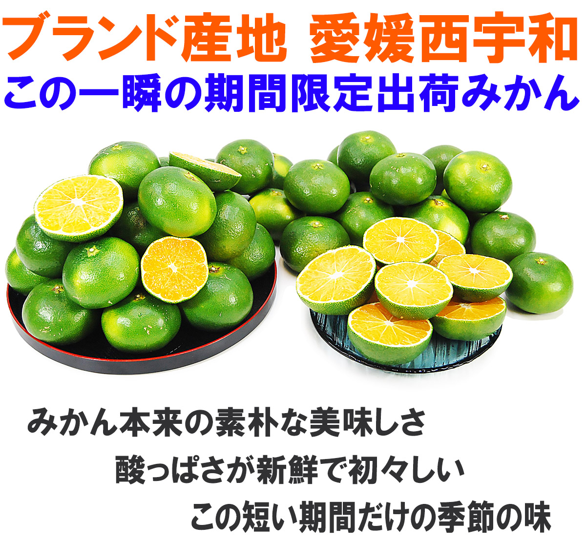 愛媛県産 あおぎりみかん