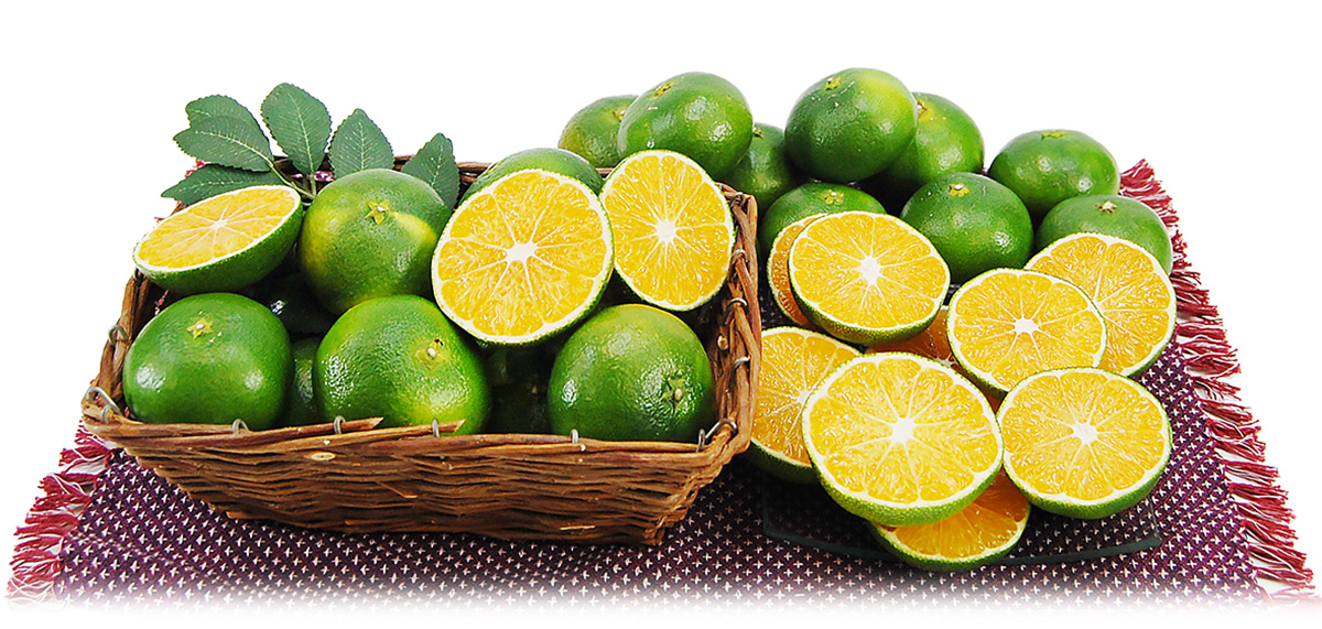 愛媛県産 あおぎりみかん