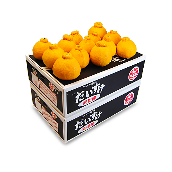 デコすけ（不知火・デコポン） ギフト用10ｋｇ