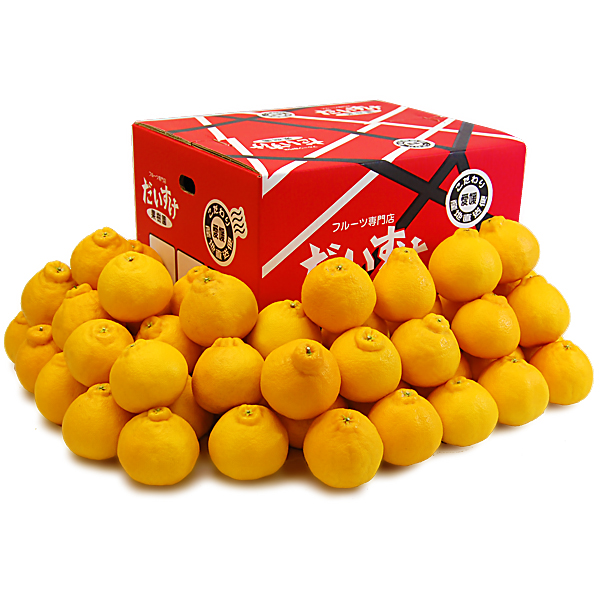 デコすけ（不知火・デコポン） お得用10ｋｇ