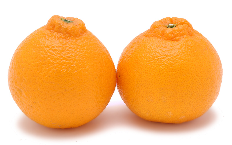 愛媛県産 デコすけ（不知火）