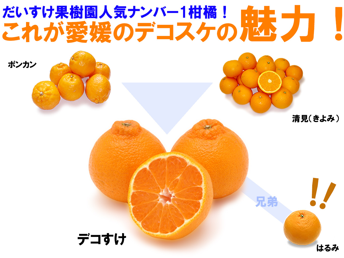 愛媛県産 デコすけ（不知火）