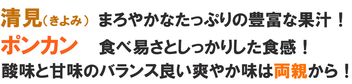 愛媛県産 デコすけ（不知火）