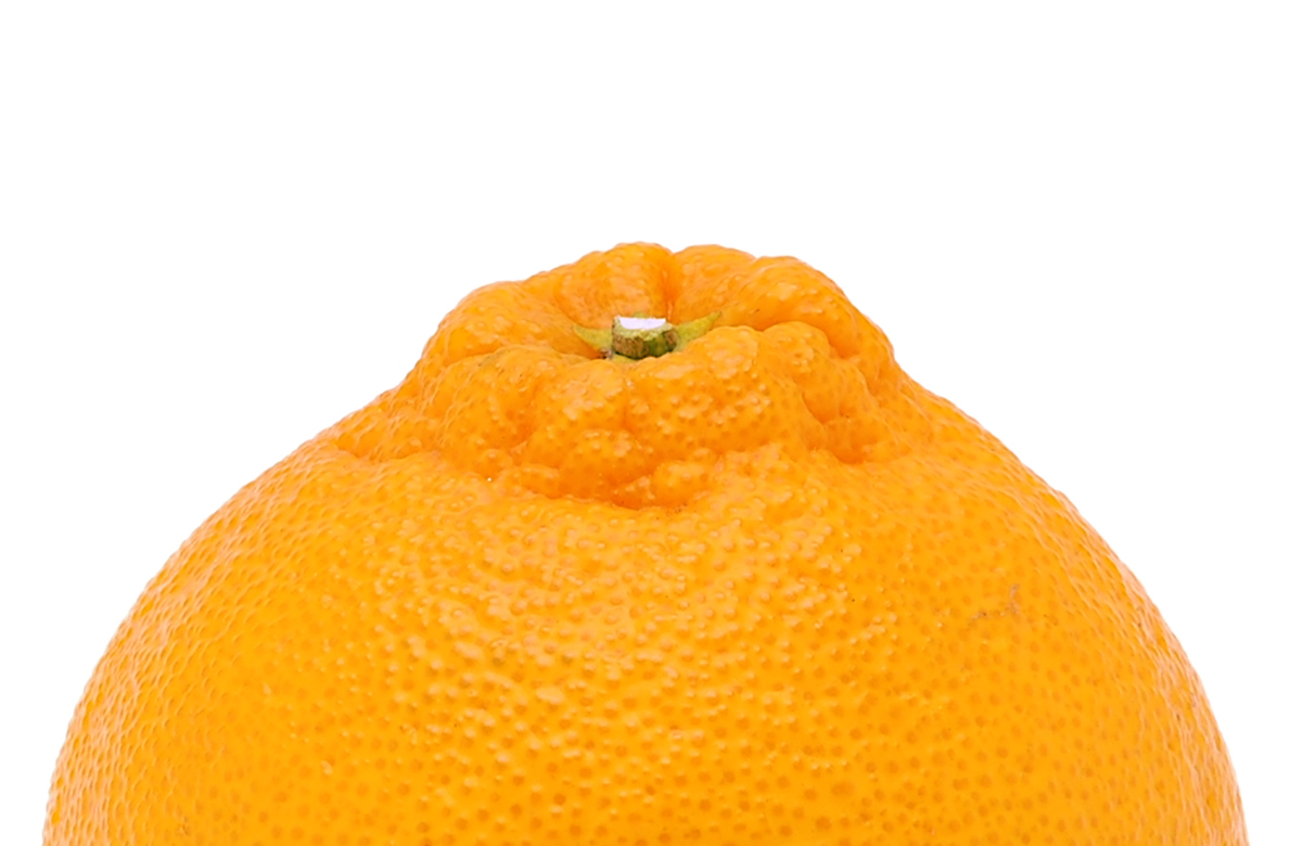 愛媛県産 デコすけ（不知火）