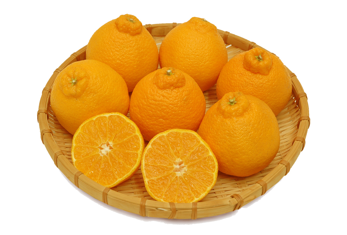 愛媛県産 デコすけ（不知火）