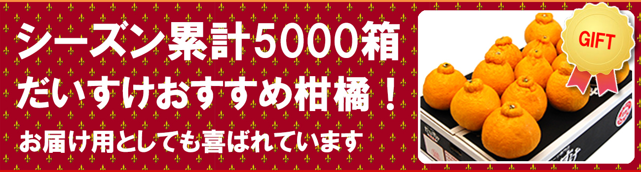 愛媛県産 デコすけ（不知火）