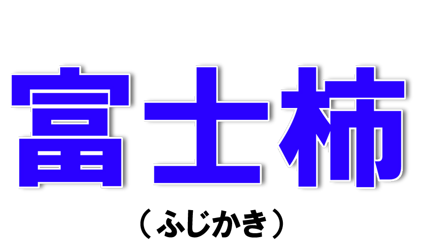 愛媛県産 富士柿（ふじかき）