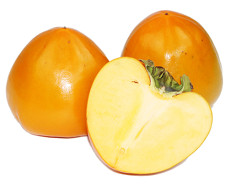 愛媛県産 富士柿（ふじかき）