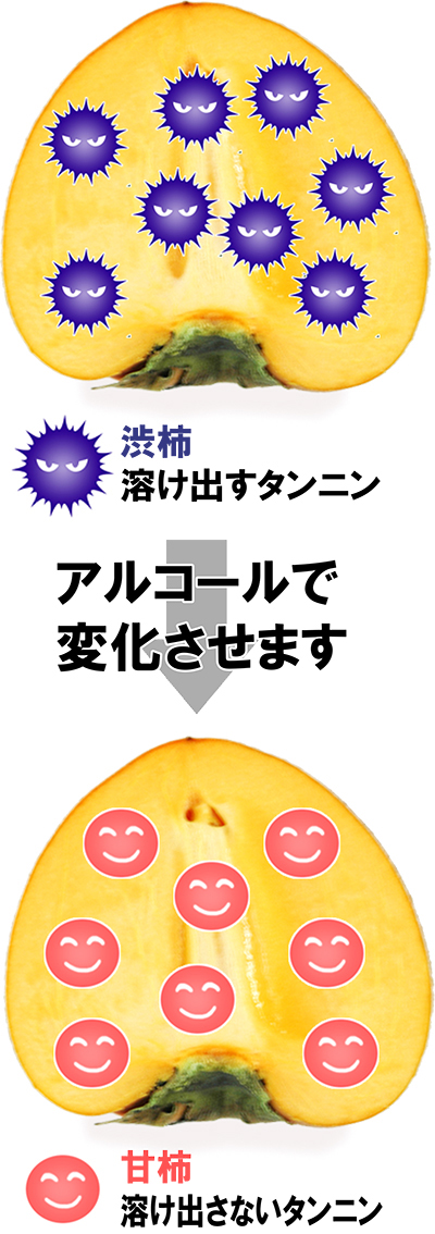 愛媛県産 富士柿（ふじかき）
