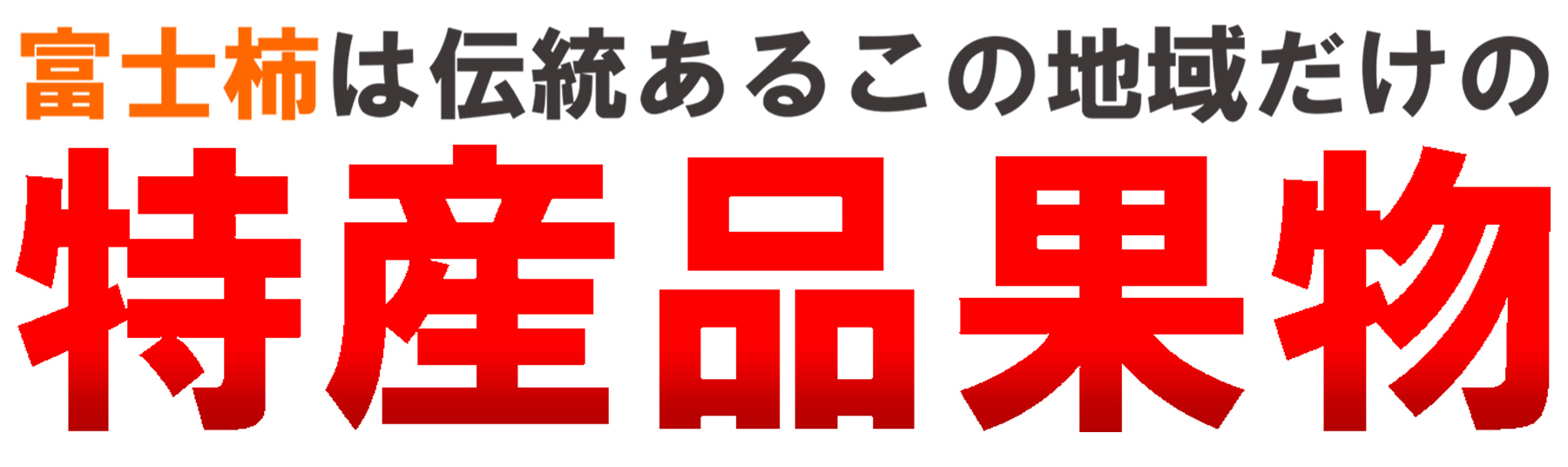愛媛県産 富士柿（ふじかき）