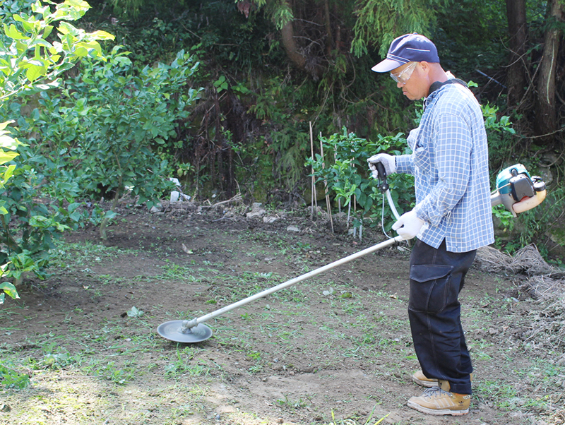愛媛県産 富士柿（ふじかき）