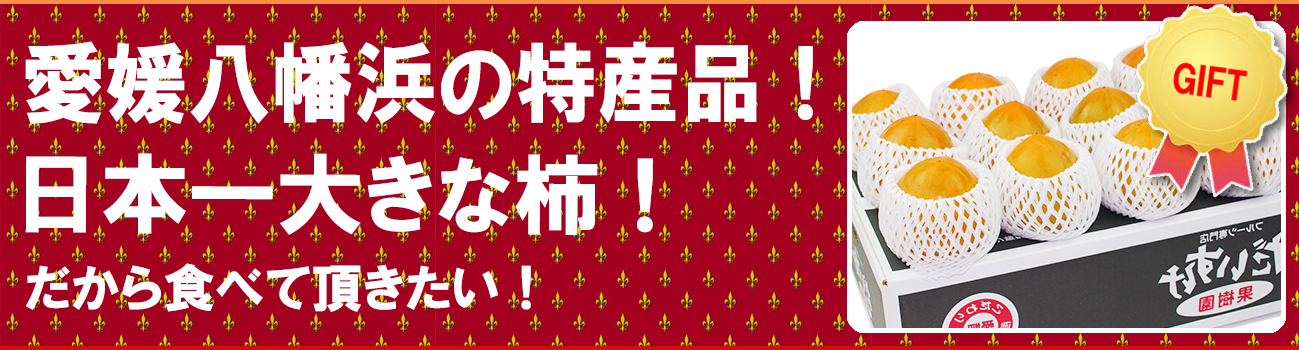 愛媛県産 富士柿（ふじかき）