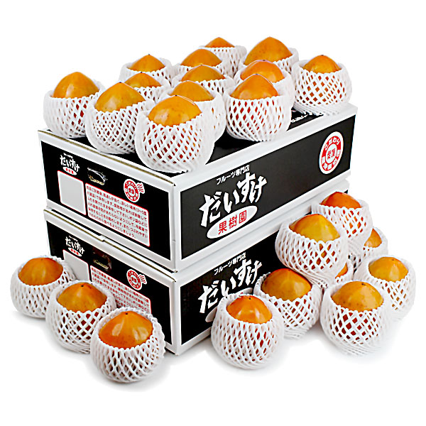 富士柿 ギフト用10ｋｇ