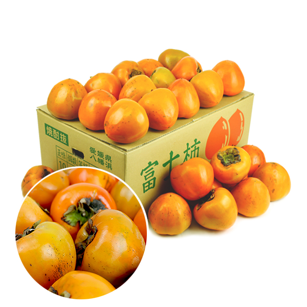 富士柿 キズキズ君10ｋｇ
