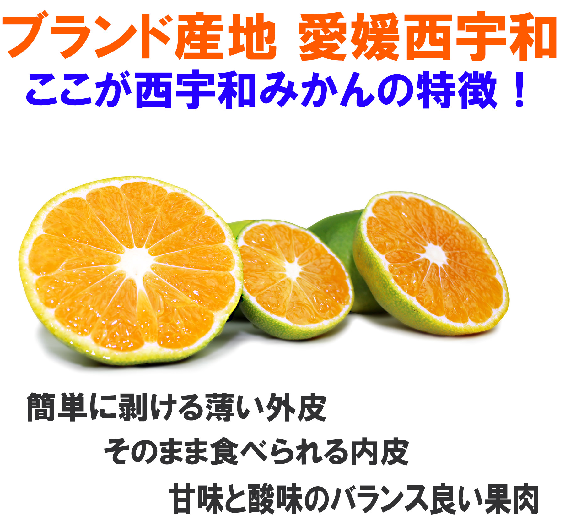 愛媛だいすけ果樹園 極早生みかん（ごくわせ）