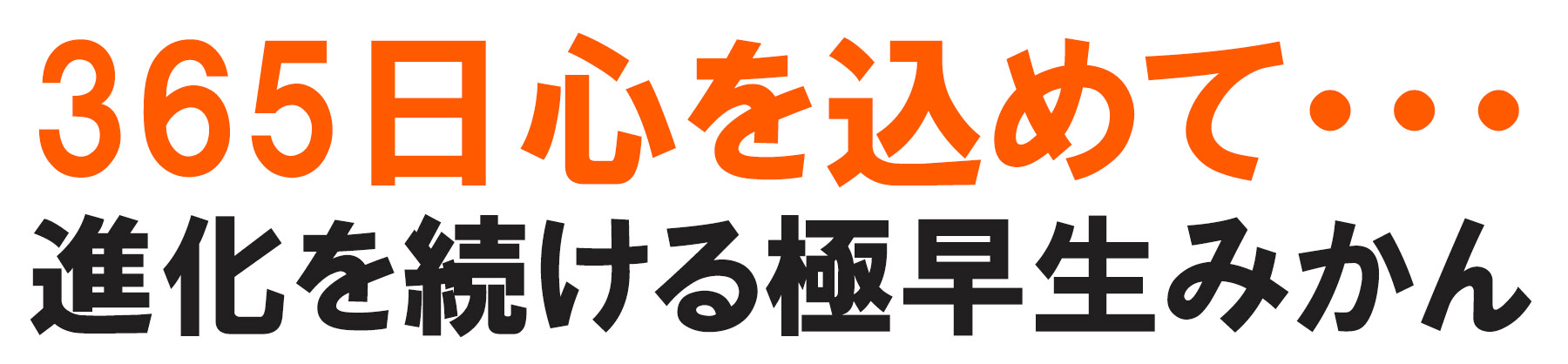 愛媛だいすけ果樹園 極早生みかん（ごくわせ）
