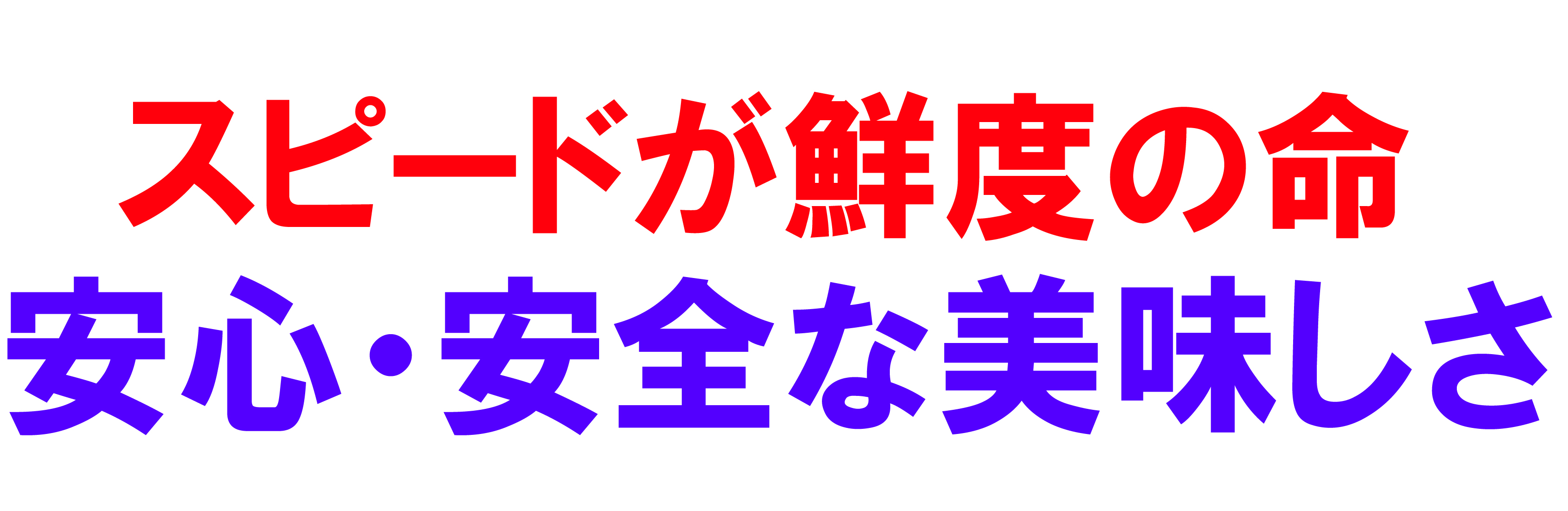 愛媛だいすけ果樹園 あおぎりみかん