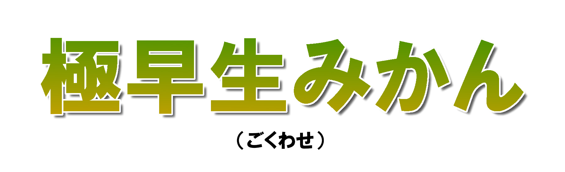 愛媛県産 極早生　みかん