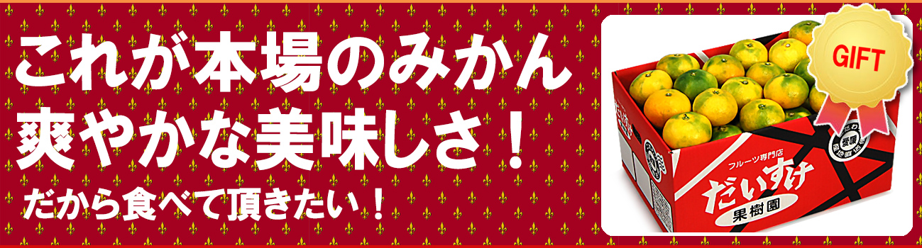 愛媛だいすけ果樹園 極早生みかん（ごくわせ）