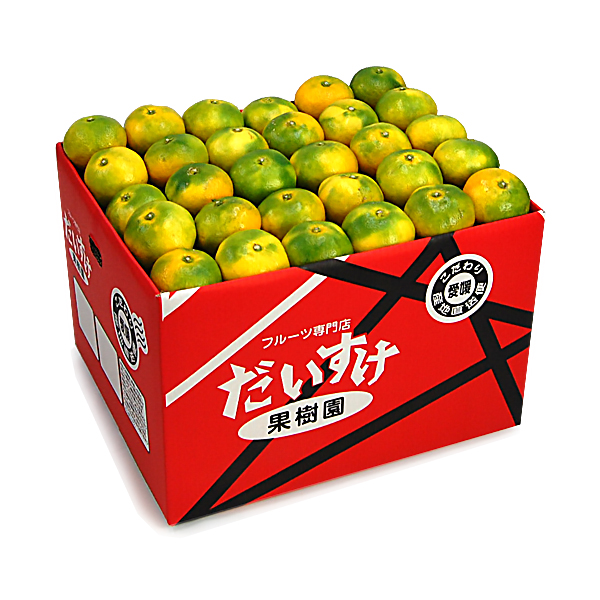 極早生みかん ギフト用10ｋｇ