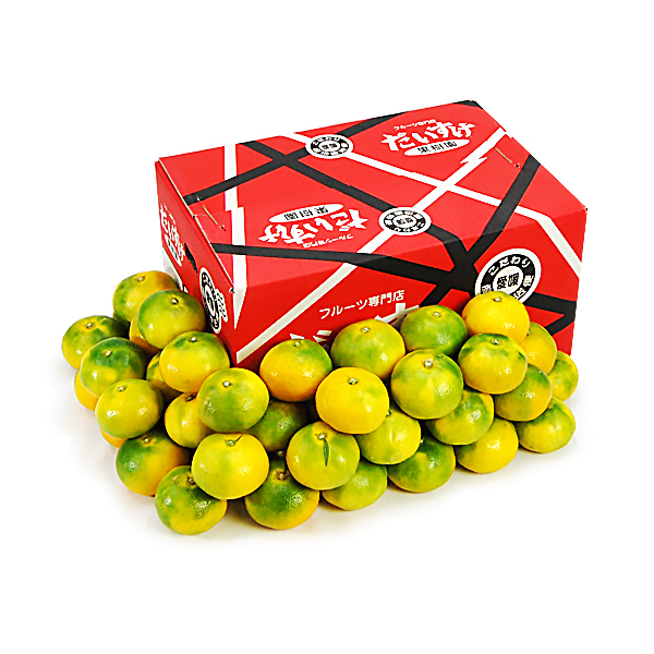 極早生みかん お得用5ｋｇ