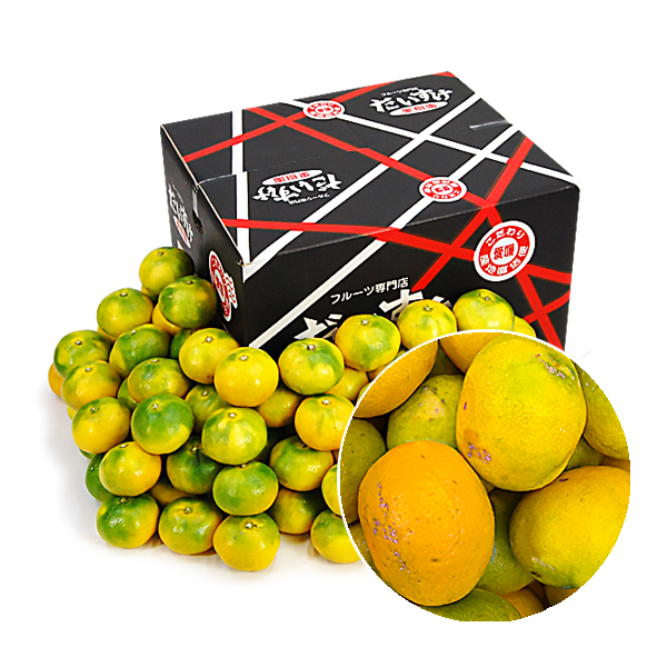 極早生みかん　キズキズ君10ｋｇ