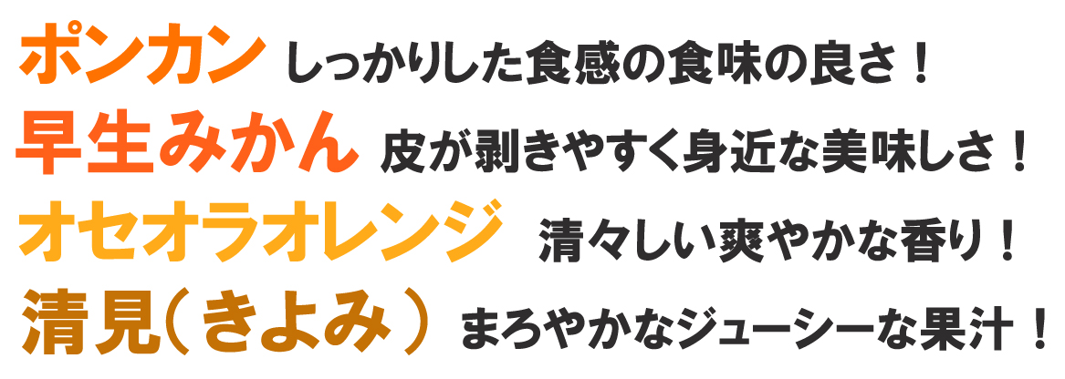 愛媛県産　はれひめ