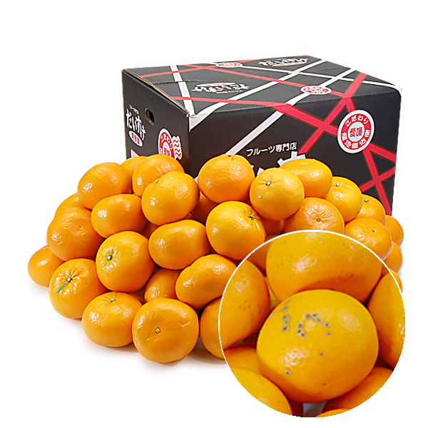 はれひめ キズキズ君10ｋｇ