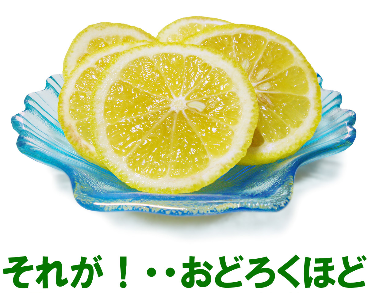 愛媛県産　はるか