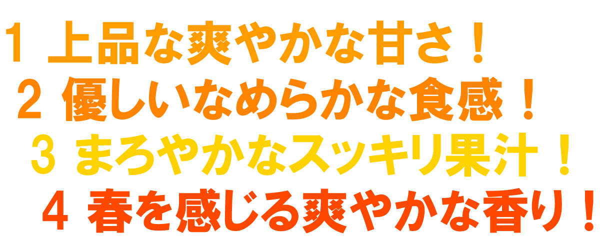 愛媛県産　はるか