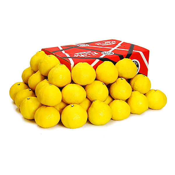 はるか ギフト用5ｋｇ