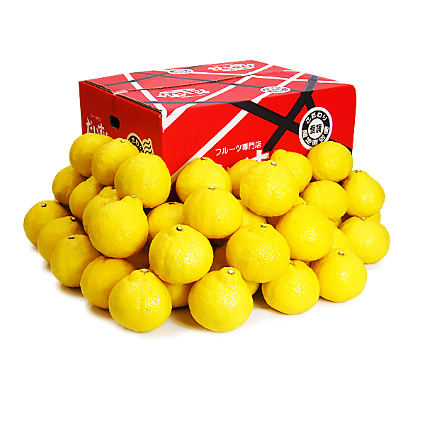 はるか ギフト用10ｋｇ