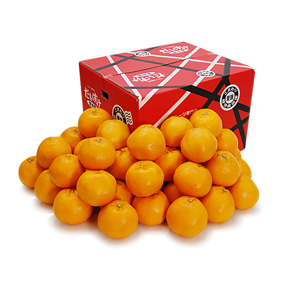 はるみ お得用10ｋｇ