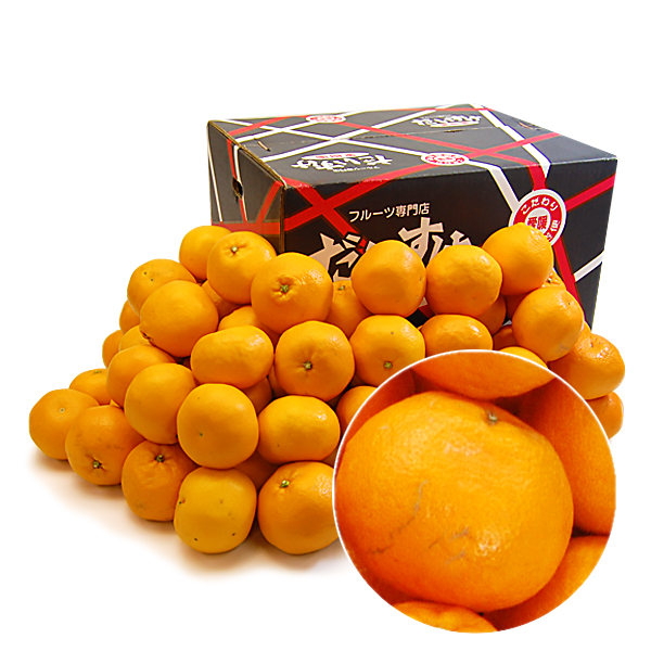 はるみ キズキズ君10ｋｇ