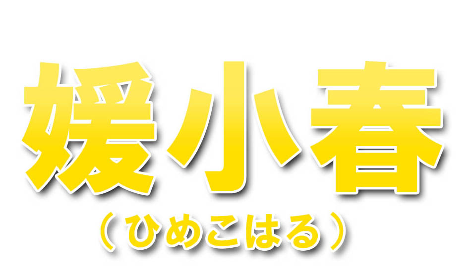 愛媛県産 媛小春（ひめこはる）